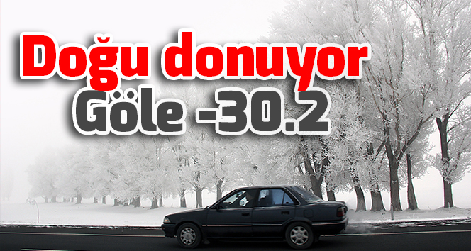 Türkiye&#039;nIn Otomobili Ekşi  : Seat Otomobilleri, Tüm Iklim Koşullarında Kusursuz Performans Gösterebilmek Için Zorlu Testlerden Geçiriliyor.
