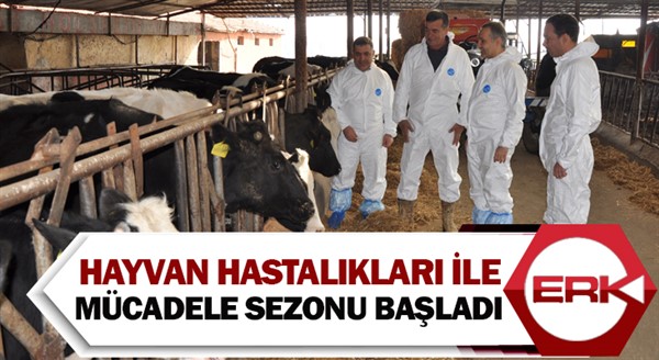  Hayvan hastalıkları ile mücadele sezonu başladı