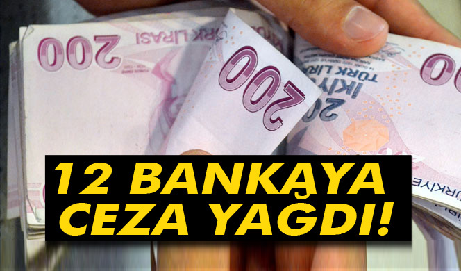12 bankaya 1.1 milyar TL kartel faizi cezası