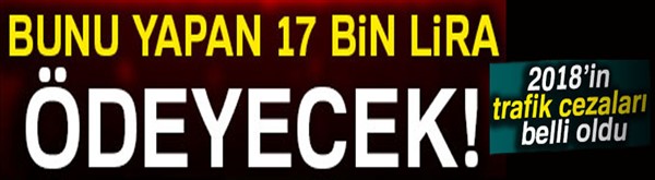 2018 yılında trafik cezaları ne kadar olacak? İşte 2018’in zamlı trafik cezaları..