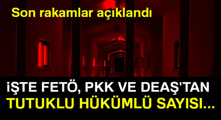 Adalet Bakanı Gül açıkladı: İşte FETÖ, PKK VE DEAŞ'tan tutuklu hükümlü sayısı...
