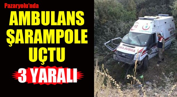 Ambulans şarampole devrildi: 3 yaralı