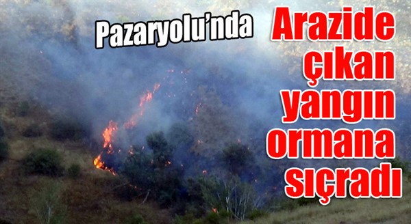 Arazide çıkan yangın ormana sıçradı