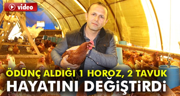 Arkadaşından ödünç aldığı 1 horoz 2 tavuk hayatını değiştirdi