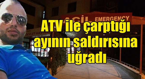 ATV ile çarptığı ayının saldırısına uğradı