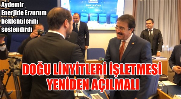 Aydemir’den DLİ’nin yeniden açılması talebi