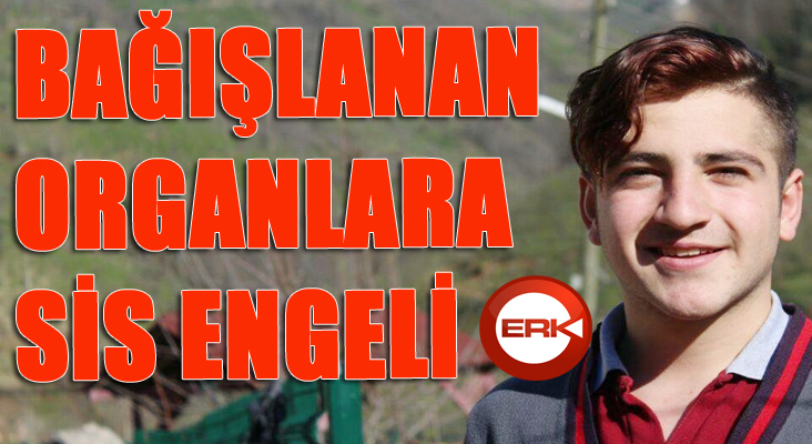 Bağışlanan organlara sis engeli