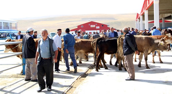 Başkan Emrullah Akpunar: “Kurbanlık fiyatlarında yükselme söz konusu değildir”