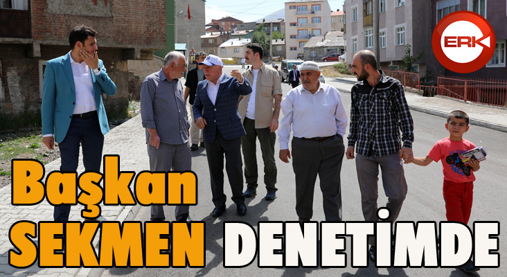 Başkan Sekmen mahallelerde çalışmaları denetliyor