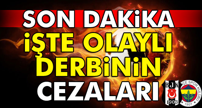Beşiktaş Fenerbahçe derbisinin cezaları belli oldu | Van Persie, Tosic, kaç maç ceza aldı