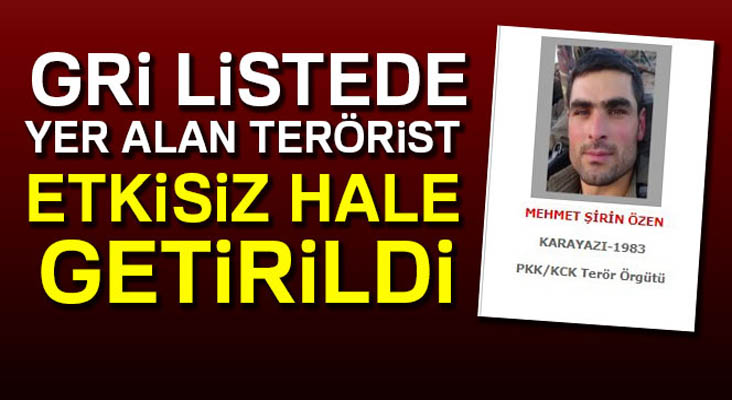 Bingöl’de gri listede bulunan terörist etkisiz hale getirildi