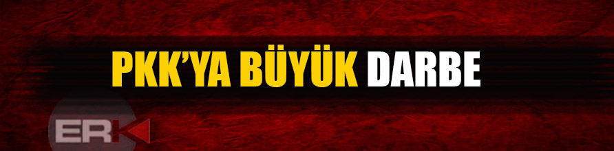 Bitlis ve Mardin'de 13 PKK’lı terörist öldürüldü