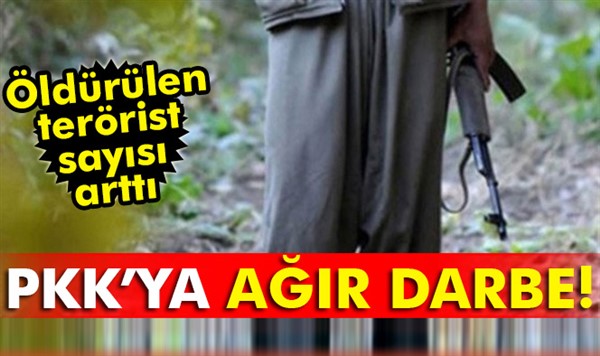 Bitlis'te 10 terörist ölü, 2 terörist ise sağ olarak ele geçirildi