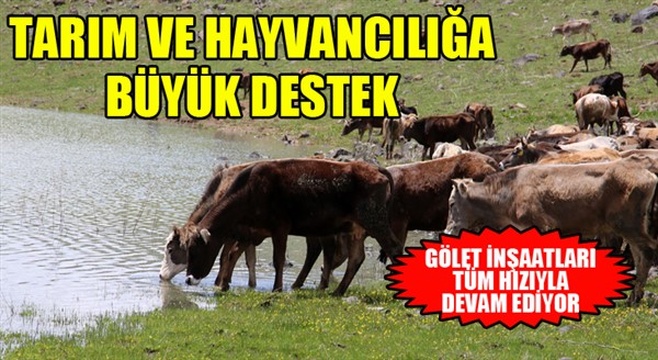 Büyükşehir’den tarım ve hayvancılığa tam destek