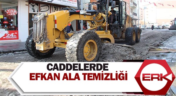 Caddelerde Efkan Ala temizliği