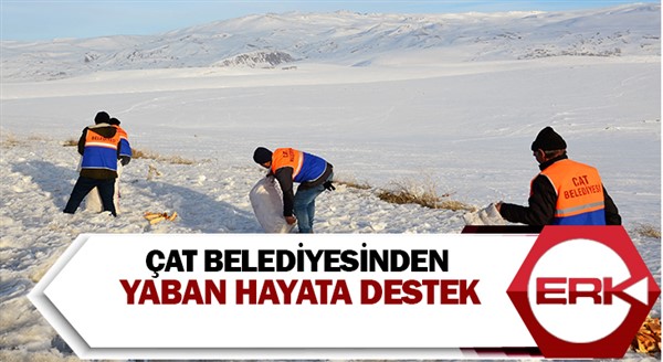 Çat Belediyesinden yaban hayata destek