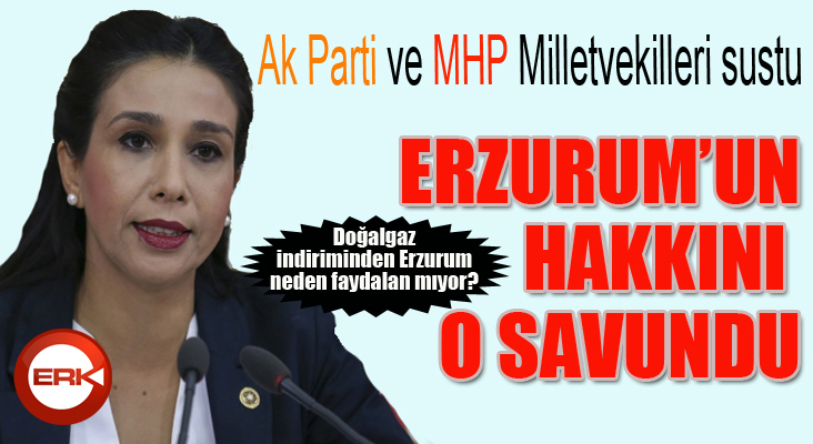 CHP’li Milletvekili sordu: Erzurum’da doğalgaz’a indirim neden uygulanmıyor?
