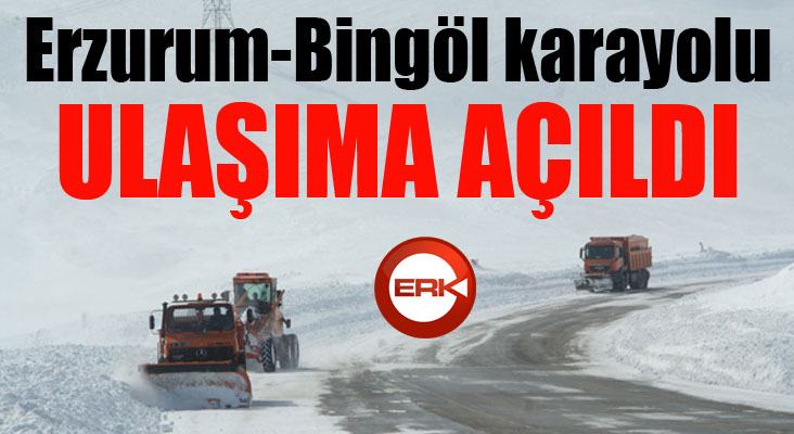 Çığ gelen Erzurum-Bingöl Karayolu ulaşıma açıldı