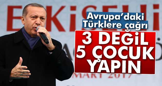 Cumhurbaşkanı Erdoğan'dan Avrupa'daki Türklere çağrı!