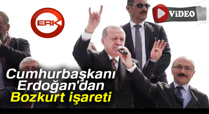 Cumhurbaşkanı Erdoğan'dan Bozkurt işareti