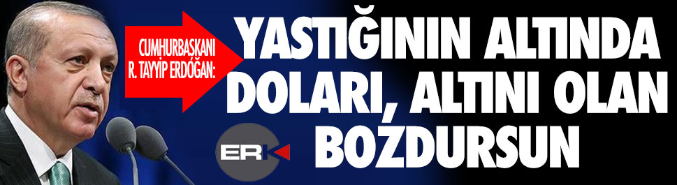 Cumhurbaşkanı Erdoğan'dan çağrı: Dolar ve altınlarınızı bozdurun!