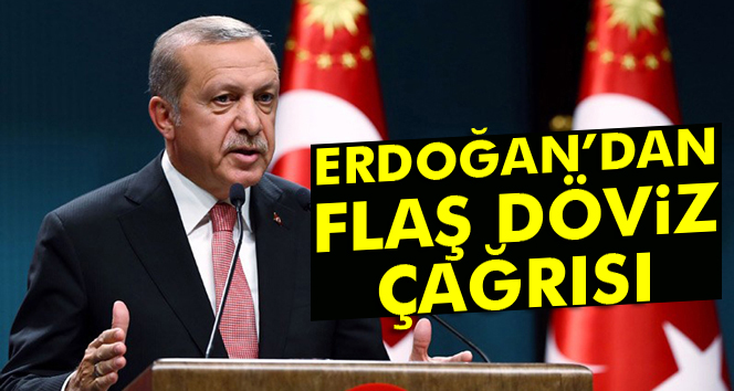 Cumhurbaşkanı Erdoğan'dan döviz çağrısı