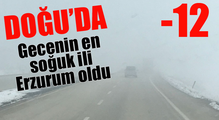 Doğu Anadolu'da soğuk hava ve sis 