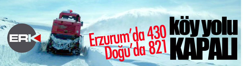 Doğu'da kar, 821 köy ve mahallenin yolunu kapattı