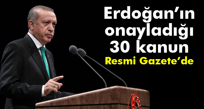 Erdoğan’ın onayladığı 30 kanun Resmi Gazete’de