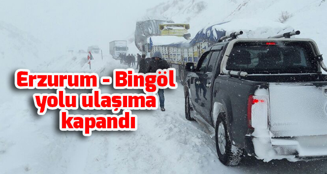 Erzurum - Bingöl yolu ulaşıma kapandı