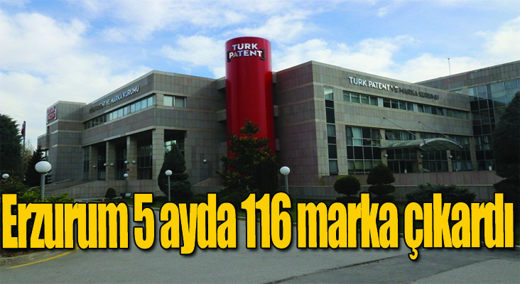 Erzurum 5 ayda 116 marka çıkardı