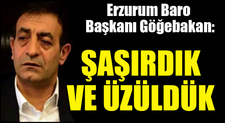 Erzurum Baro Başkanı Göğebakan: Şaşırdık ve üzüldük