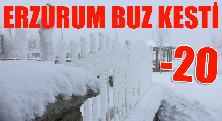 Erzurum buz kesti 