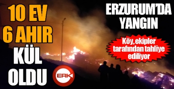 Erzurum’da feci yangın: 10 ev 6 ahır kül oldu