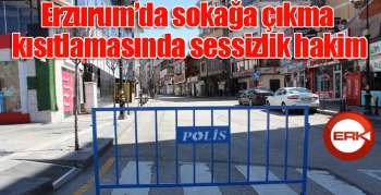 Erzurum’da sokağa çıkma kısıtlamasın da sessizlik hakim