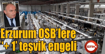 Erzurum OSB’lere ‘+ 1’ teşvik darbesi...