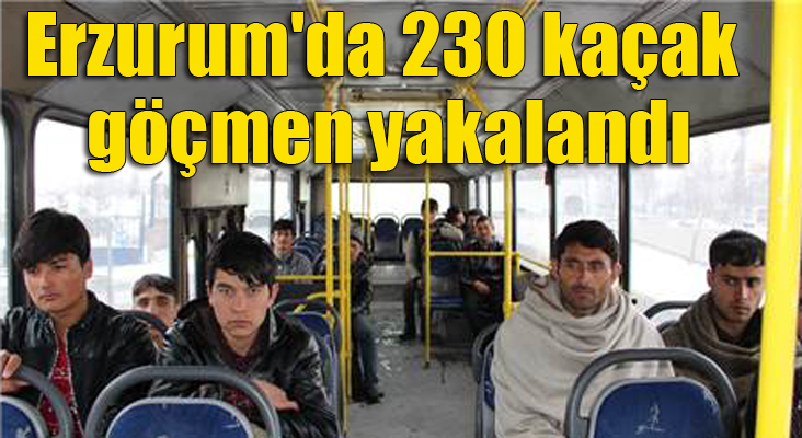 Erzurum'da 230 kaçak göçmen yakalandı