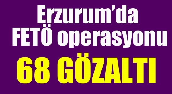 Erzurum'da FETÖ operasyonu: 68 gözaltı...