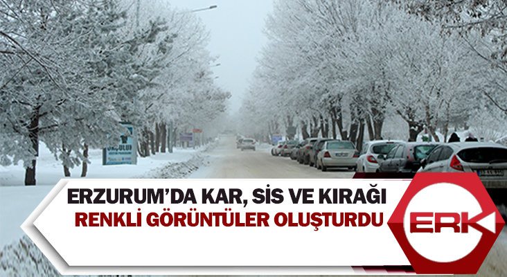 Erzurum’da kar, sis ve kırağı renkli görüntüler oluşturdu