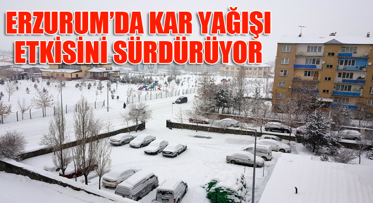 Erzurum'da kar yağışı etkisini sürdürüyor. 