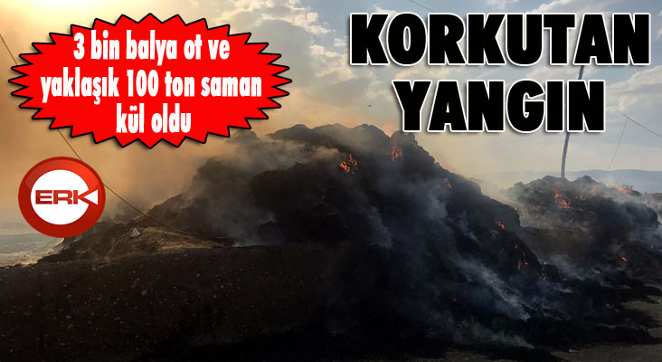 Erzurum’da korkutan ot yangını