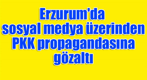 Erzurum'da Sosyal medyada PKK propagandası yapan şahıslar gözaltına alındı