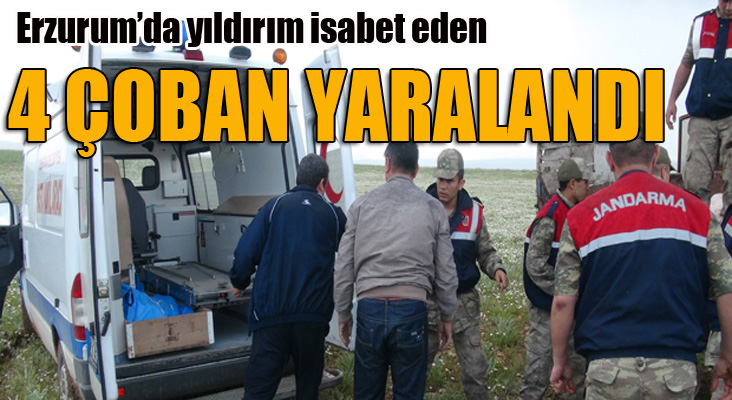 Erzurum’da yıldırımın isabet ettiği 4 çoban yaralandı