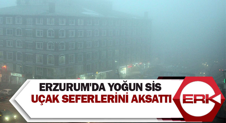 Erzurum'da yoğun sis uçak seferlerini aksattı