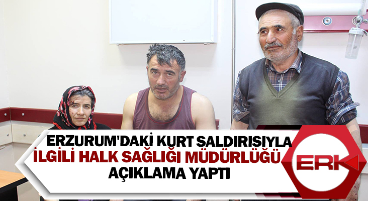 Erzurum'daki kurt saldırısı