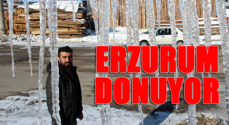 Erzurum’un Tekman ilçesi eksi 21 dereceyi gördü