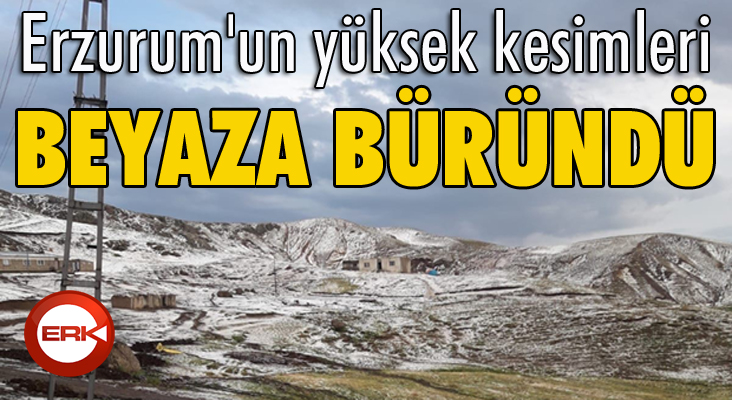 Erzurum'un yüksek kesimleri beyaza büründü