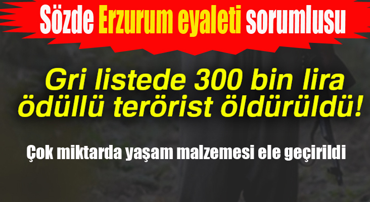Gri listede 300 bin lira ödüllü terörist öldürüldü