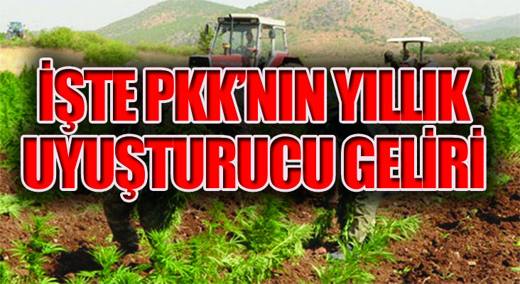 Güvenlik Uzmanı Ağar, PKK’nın uyuşturucu gelirlerini açıkladı
