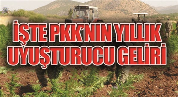 Güvenlik Uzmanı Ağar, PKK’nın uyuşturucu gelirlerini açıkladı